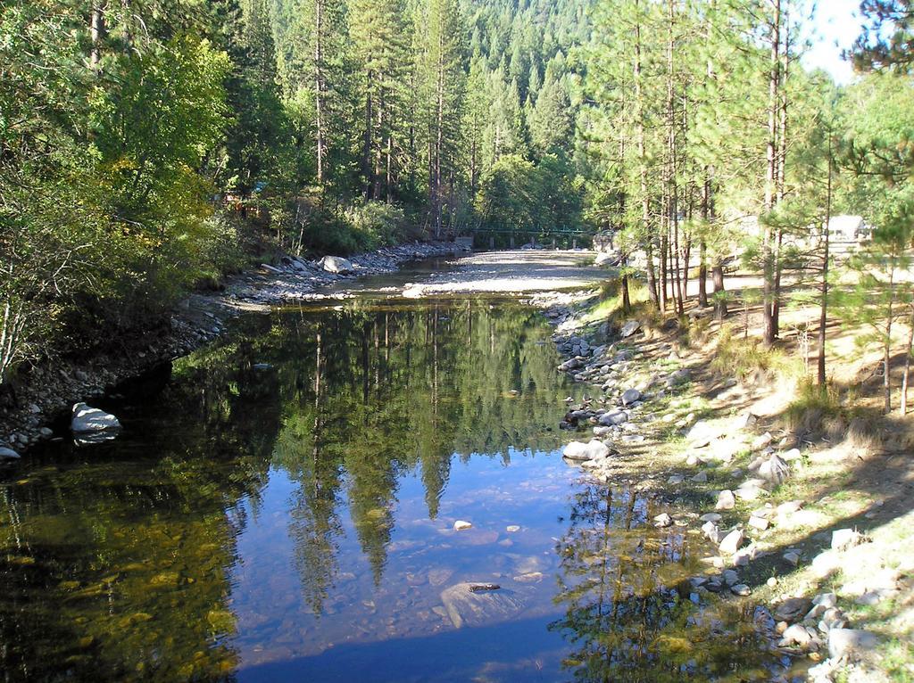 Yosemite Lakes Bunkhouse Cabin 34 Harden Flat Exterior photo